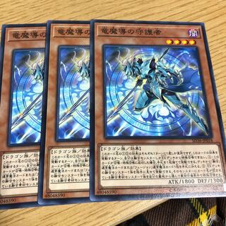 竜魔導の守護者 N