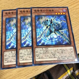 竜魔導の守護者 N