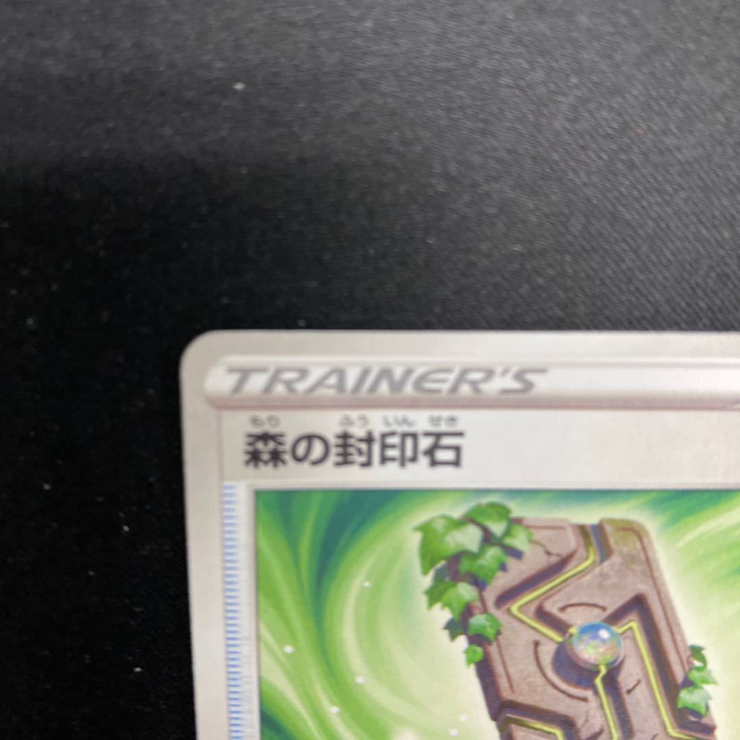 Forest sealing stone svHM 036/053