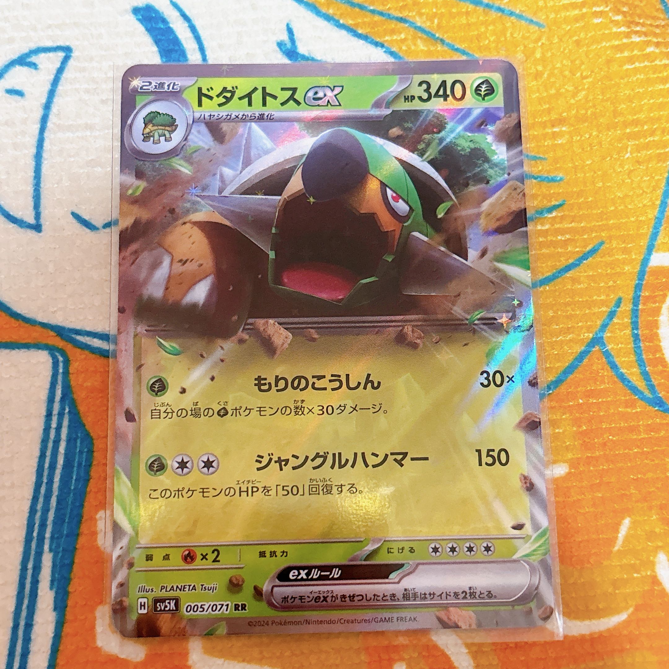 Torterraex RR 005/071