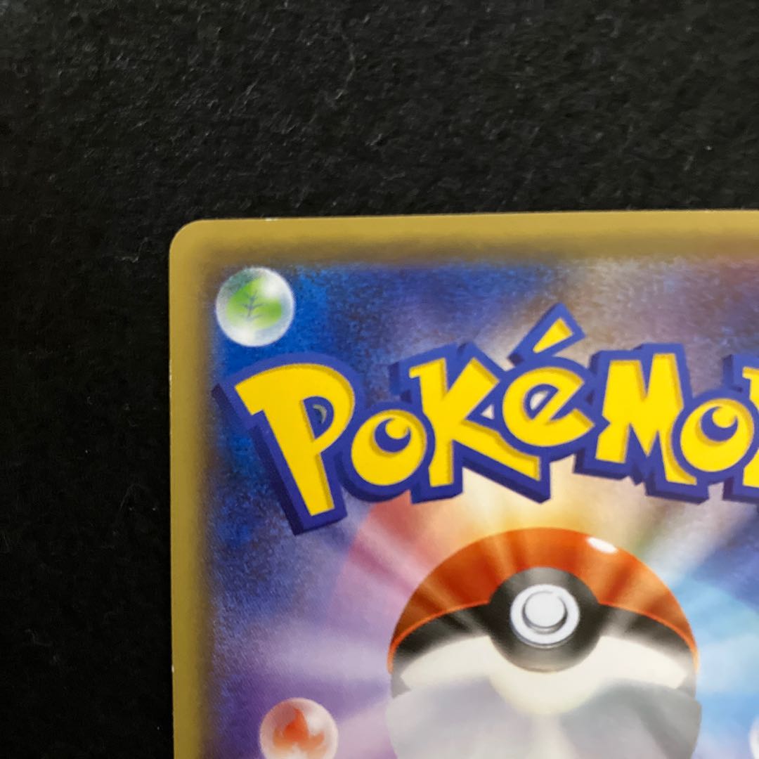 Lord and Maiko Pikachu