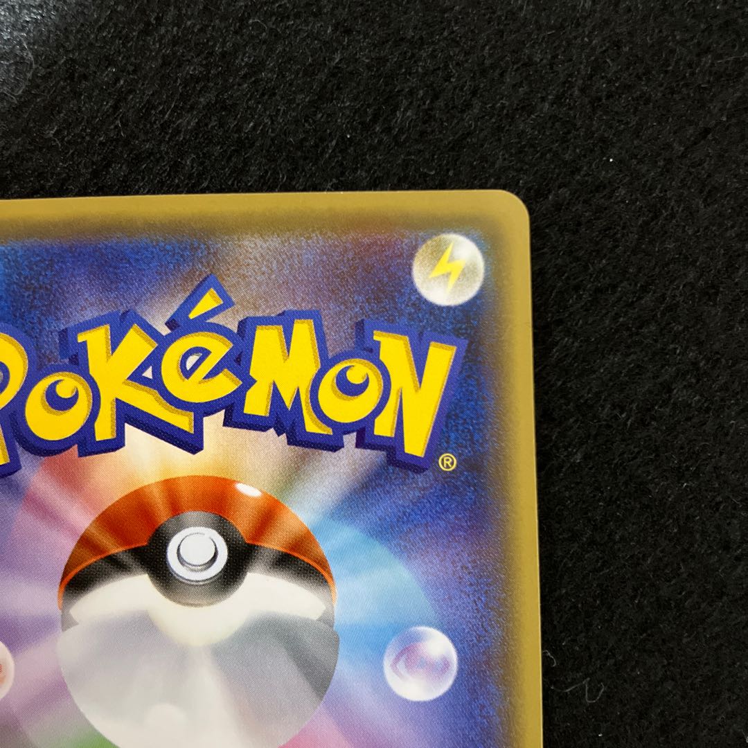 Lord and Maiko Pikachu