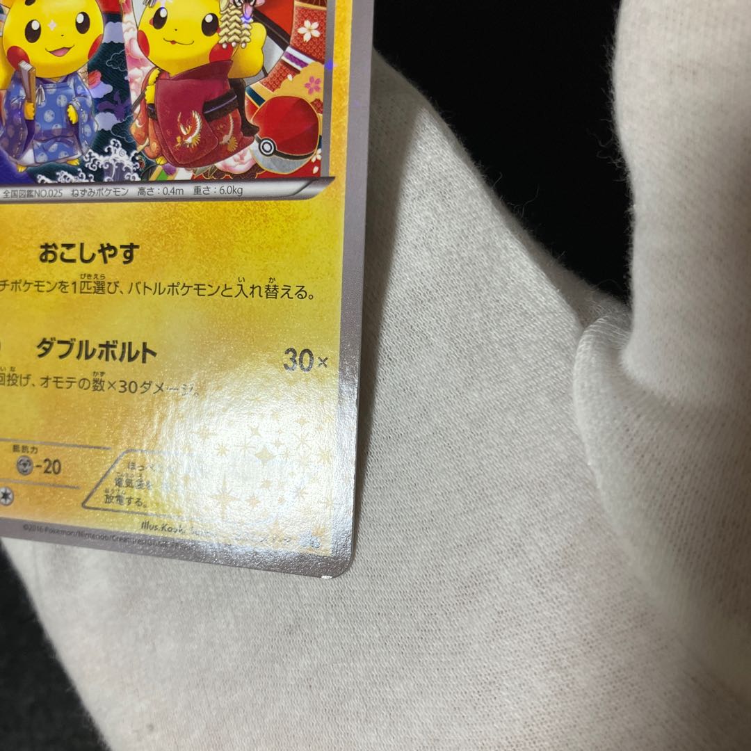 Lord and Maiko Pikachu