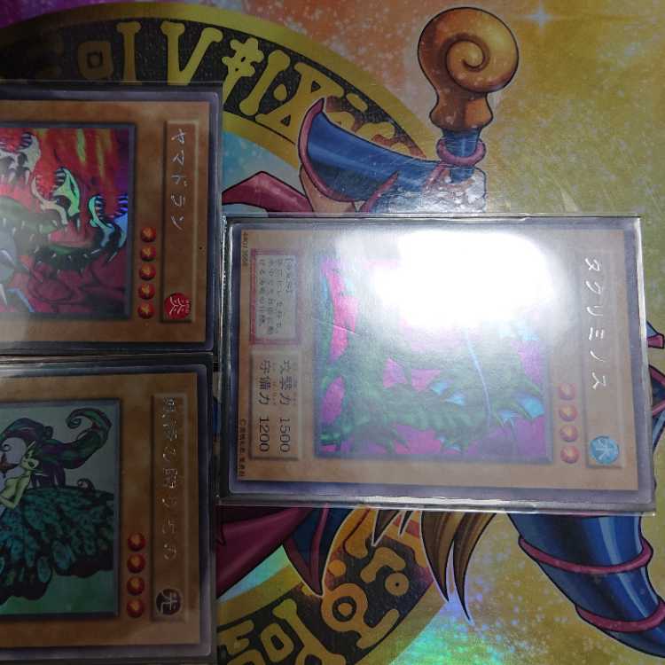 Ursik, set of three, early Yamadron, fairy gift Takriminos