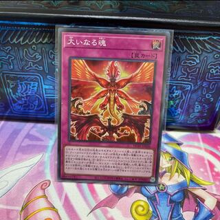 P shop No.317 Great soul [Sue].