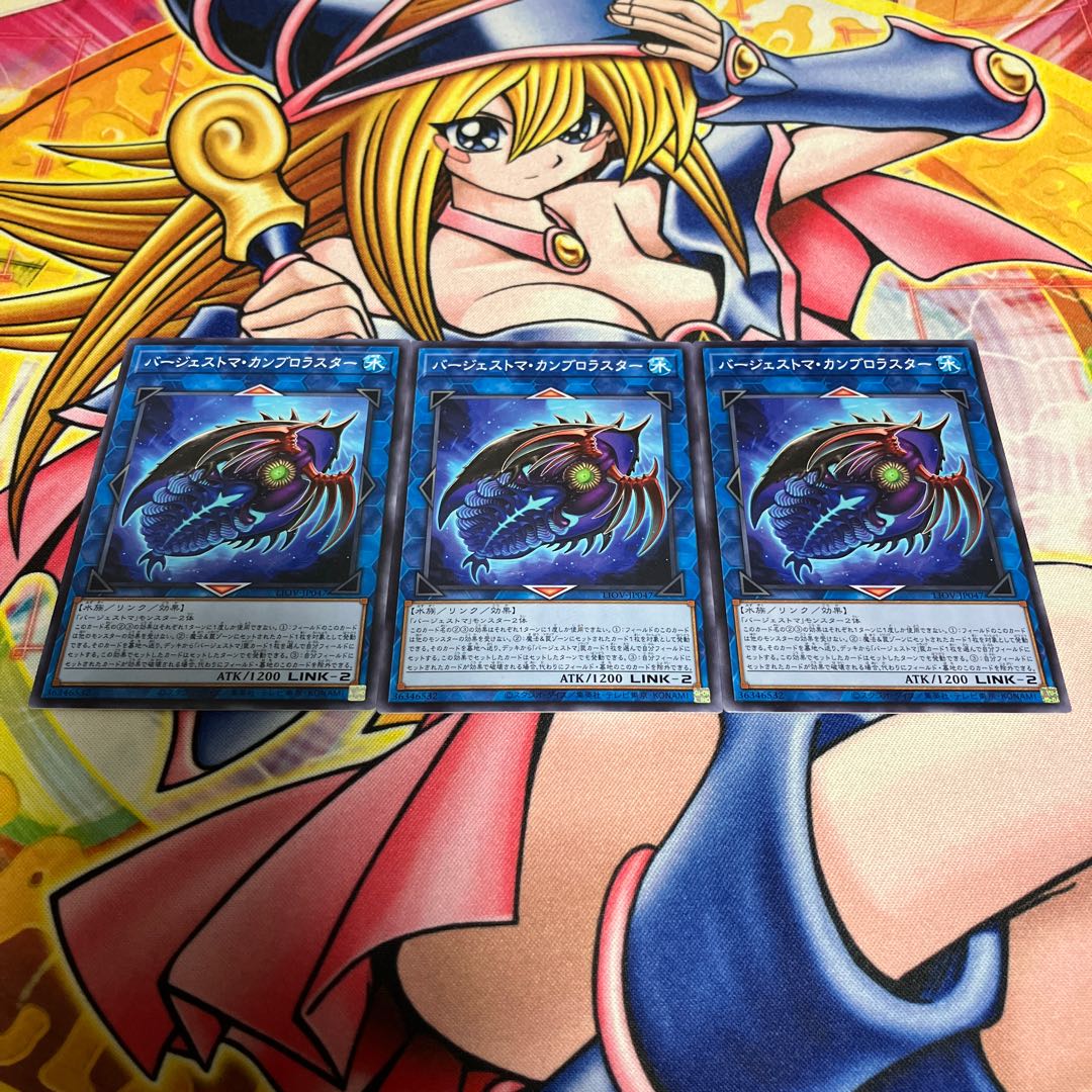 Paleozoic Cambroraster Normal JP047