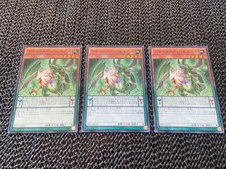 Amorphage Pride Normal JP029 A-691