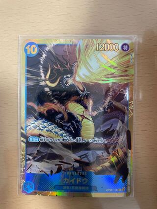 Kaido SEC OP05-118