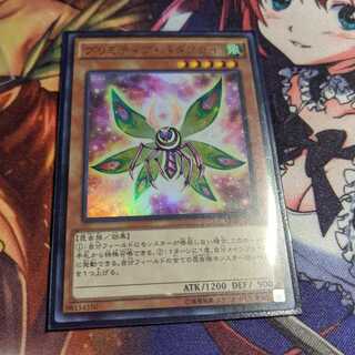 プリミティブ・バタフライ