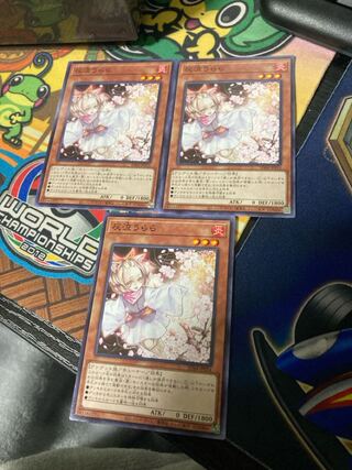 Ash Blossom & Joyous Spring Normal 3