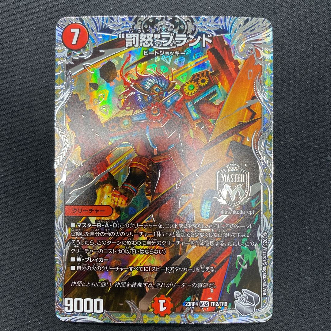 Punishment brand MAS TR2/TR9