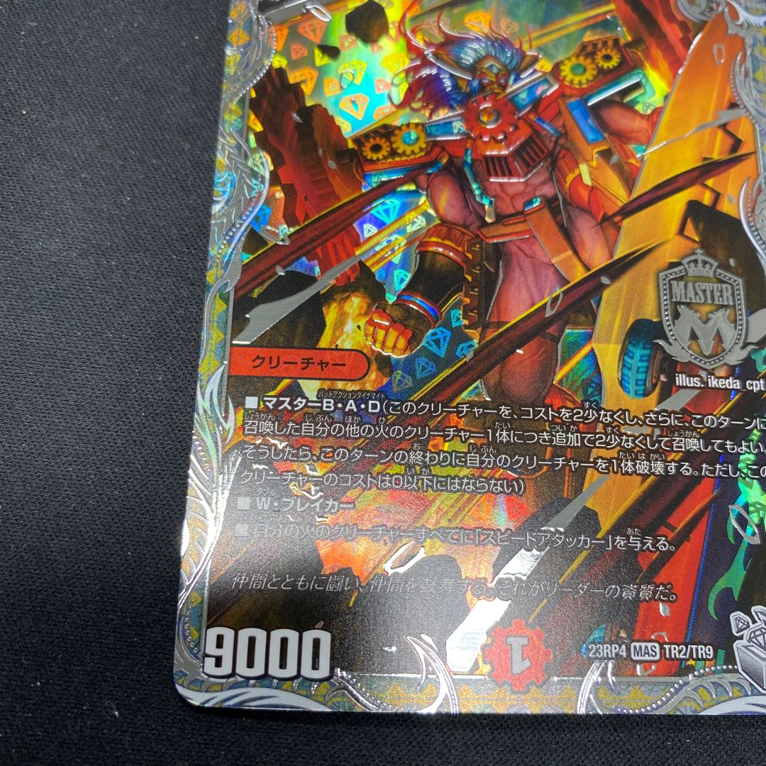 Punishment brand MAS TR2/TR9