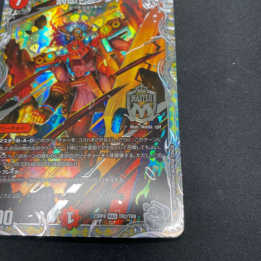 Punishment brand MAS TR2/TR9