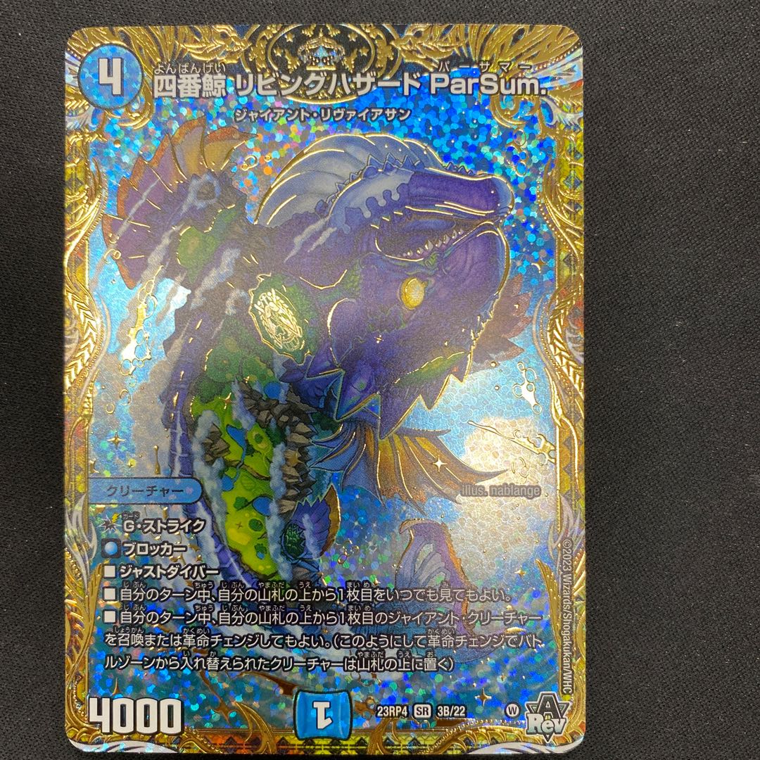 Fourth Whale Living Hazard ParSum SR 3B/22