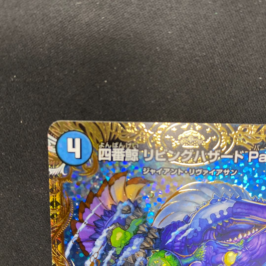 Fourth Whale Living Hazard ParSum SR 3B/22