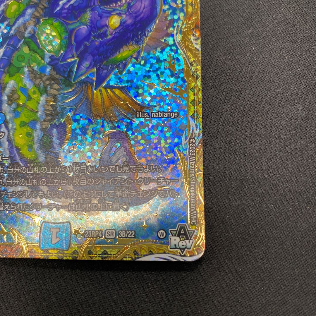 Fourth Whale Living Hazard ParSum SR 3B/22