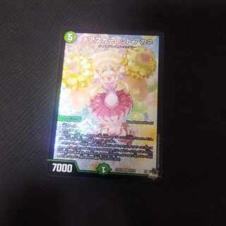 Cheer Scarlet Whitney SR S8/S8