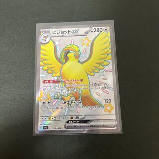 Pidgeotex 1枚