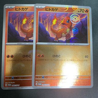 ヒトカゲモンボ柄　クーポン消化用