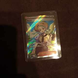 maple (tree) (Acer spp.)