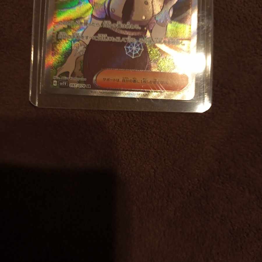 maple (tree) (Acer spp.)