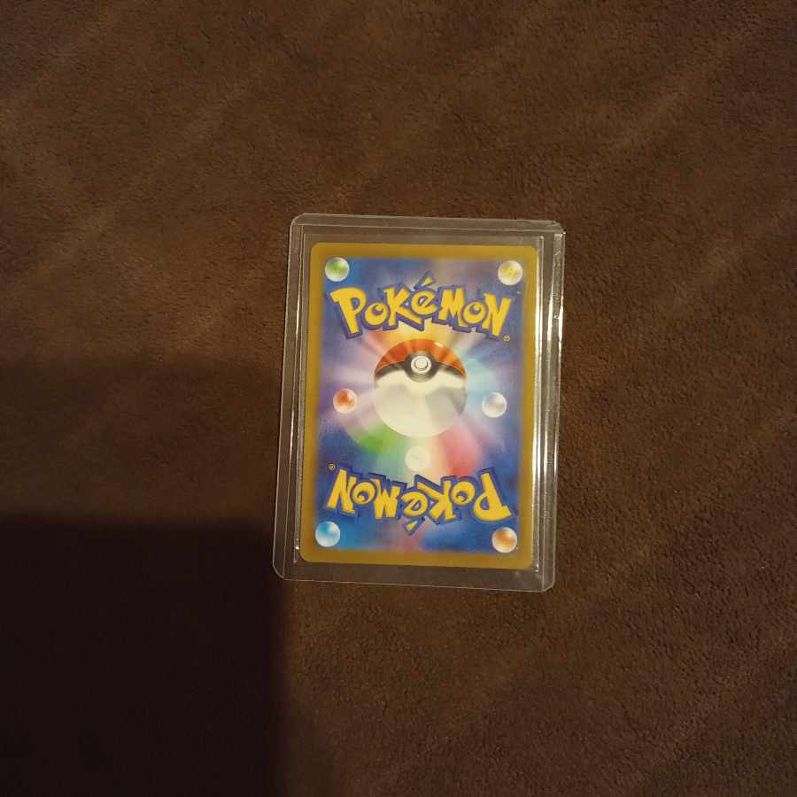 maple (tree) (Acer spp.)