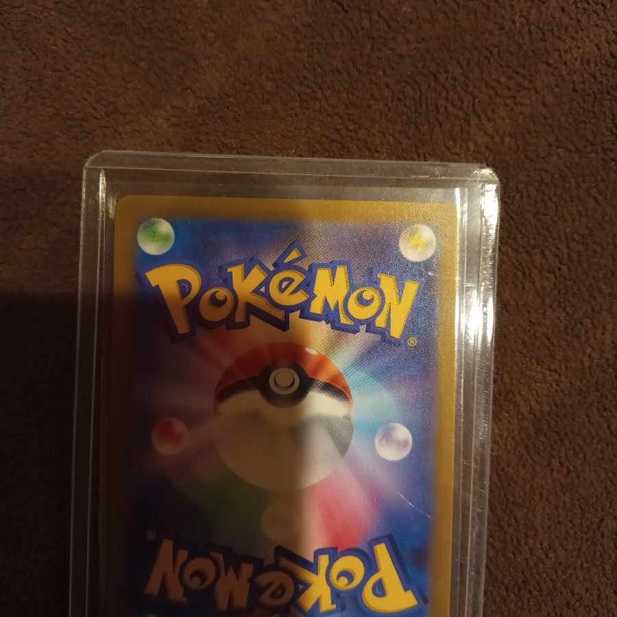 maple (tree) (Acer spp.)