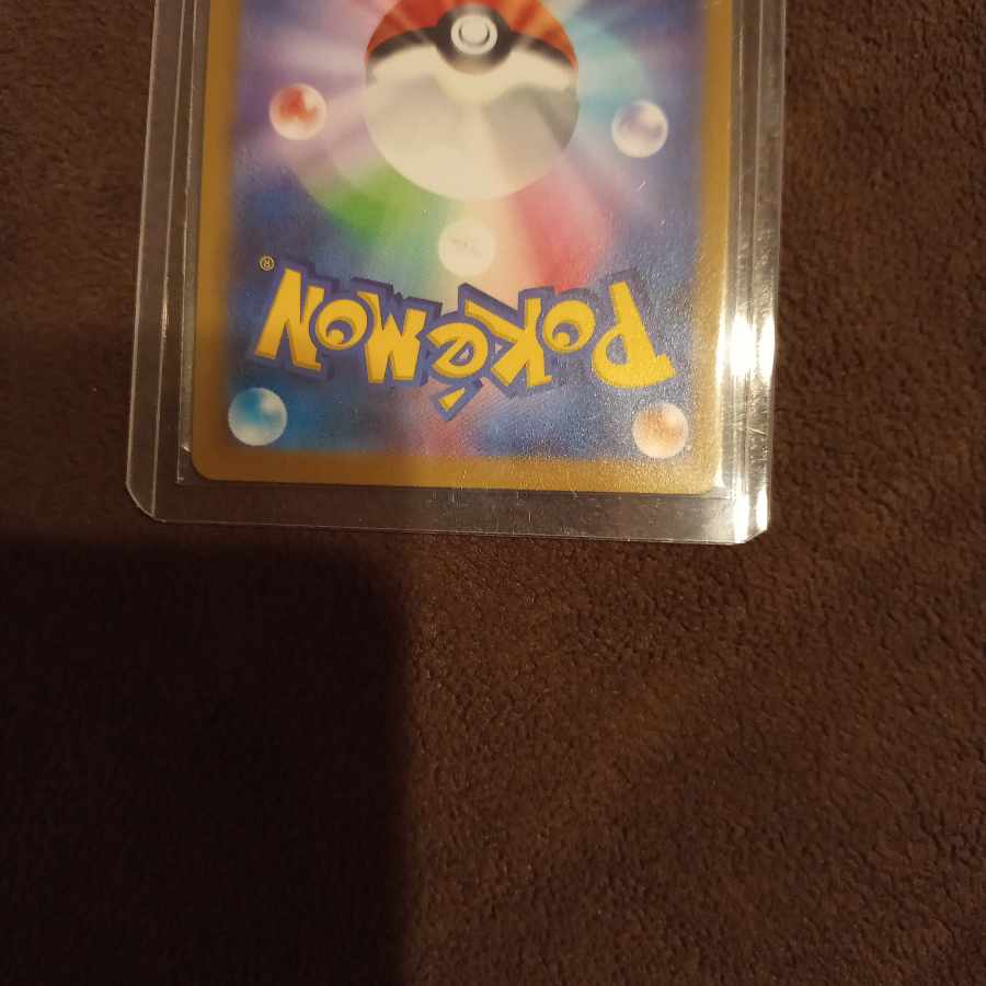 maple (tree) (Acer spp.)