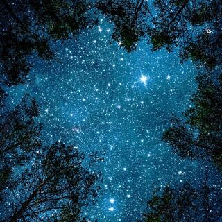 なかぽん様専用