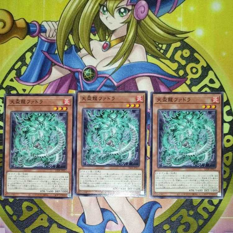 天盃龍ファドラ LEDE-JP017 3枚セット 3枚