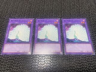 Allvain the Essence of Vanity Normal JP038 A-819