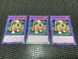 Amazoness Pet Liger Normal JP022 Ah-823