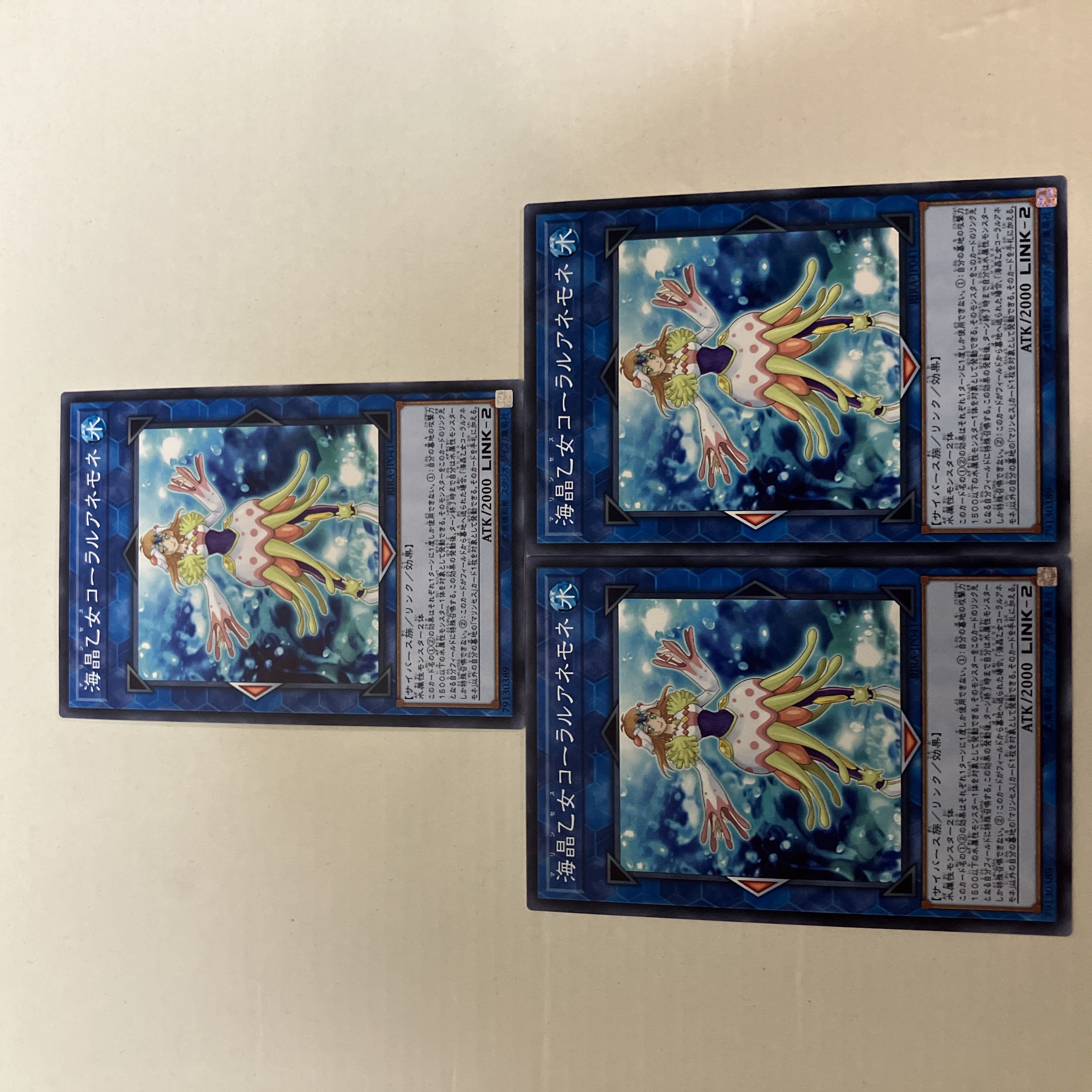 海晶乙女コーラルアネモネ