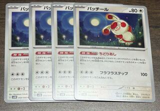 パッチール C 058/066