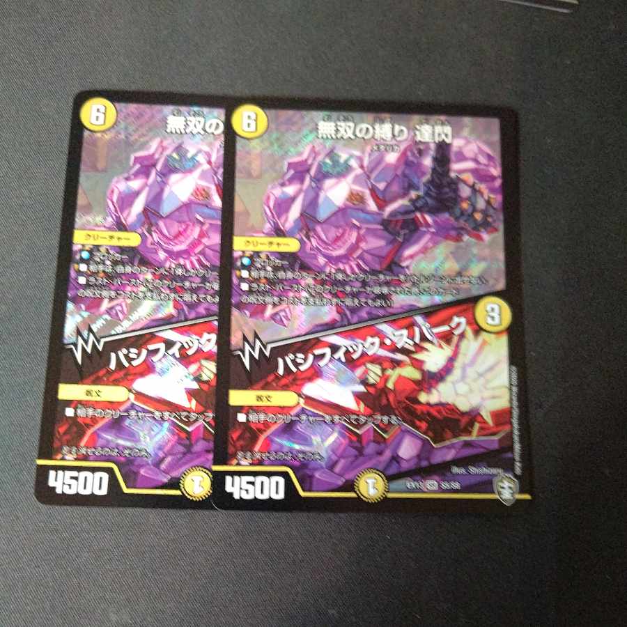 MUSOU NO SHIBARI TATSUSEN｜PACIFIC SPARK SR Set of 2