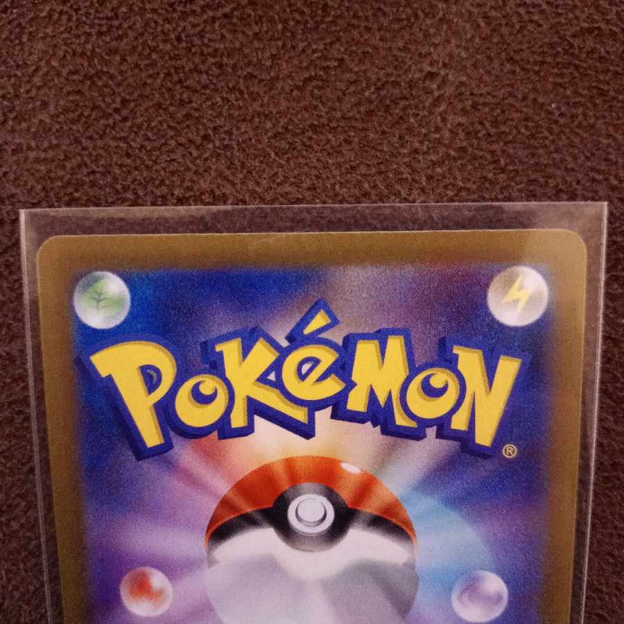 ピジョットex SSR 335/190