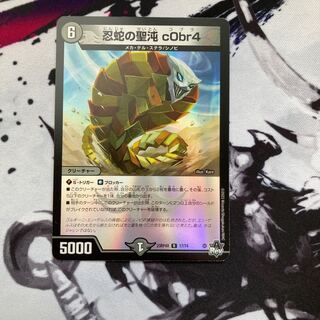 忍蛇の聖沌 c0br4