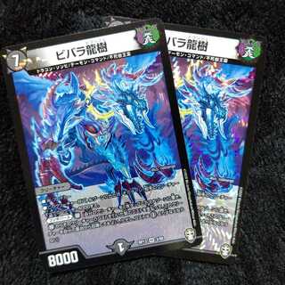 ビバラ龍樹 ２枚セット