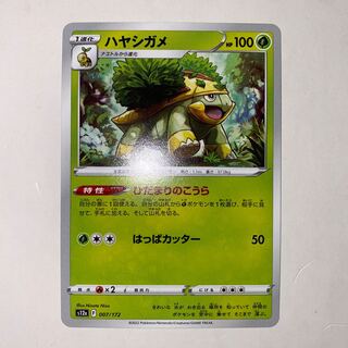 ハヤシガメ 007/172