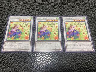 Iroha momiji normal JP042 A-847