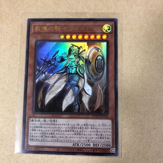 教導の騎士フルルドリス