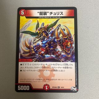 “龍装”チュリス R 16/61 1枚