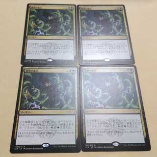 MTG 選別の儀式 日本語 STX 4枚セット