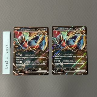 トドロクツキex RR 054/066