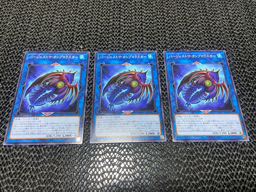 Paleozoic Cambroraster Normal JP047 Ah-893