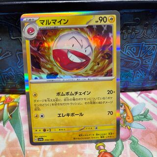 No.270 P屋 Electrode (R spec.) [-] {058/190} [SV4a