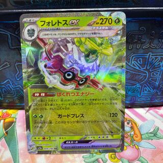 No.238 P Store Forretressex [RR] {009/190} [SV4a].