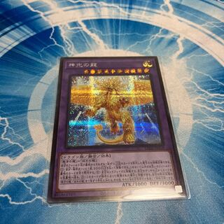 神光の龍 シークレット