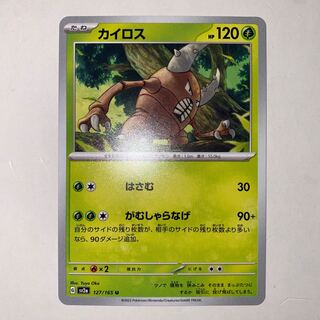 カイロス U 127/165 1枚