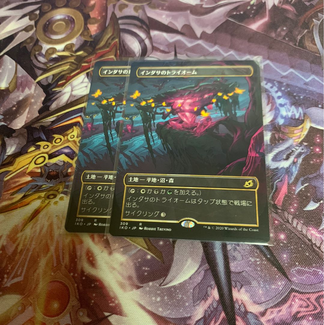 インダサのトライオーム2枚